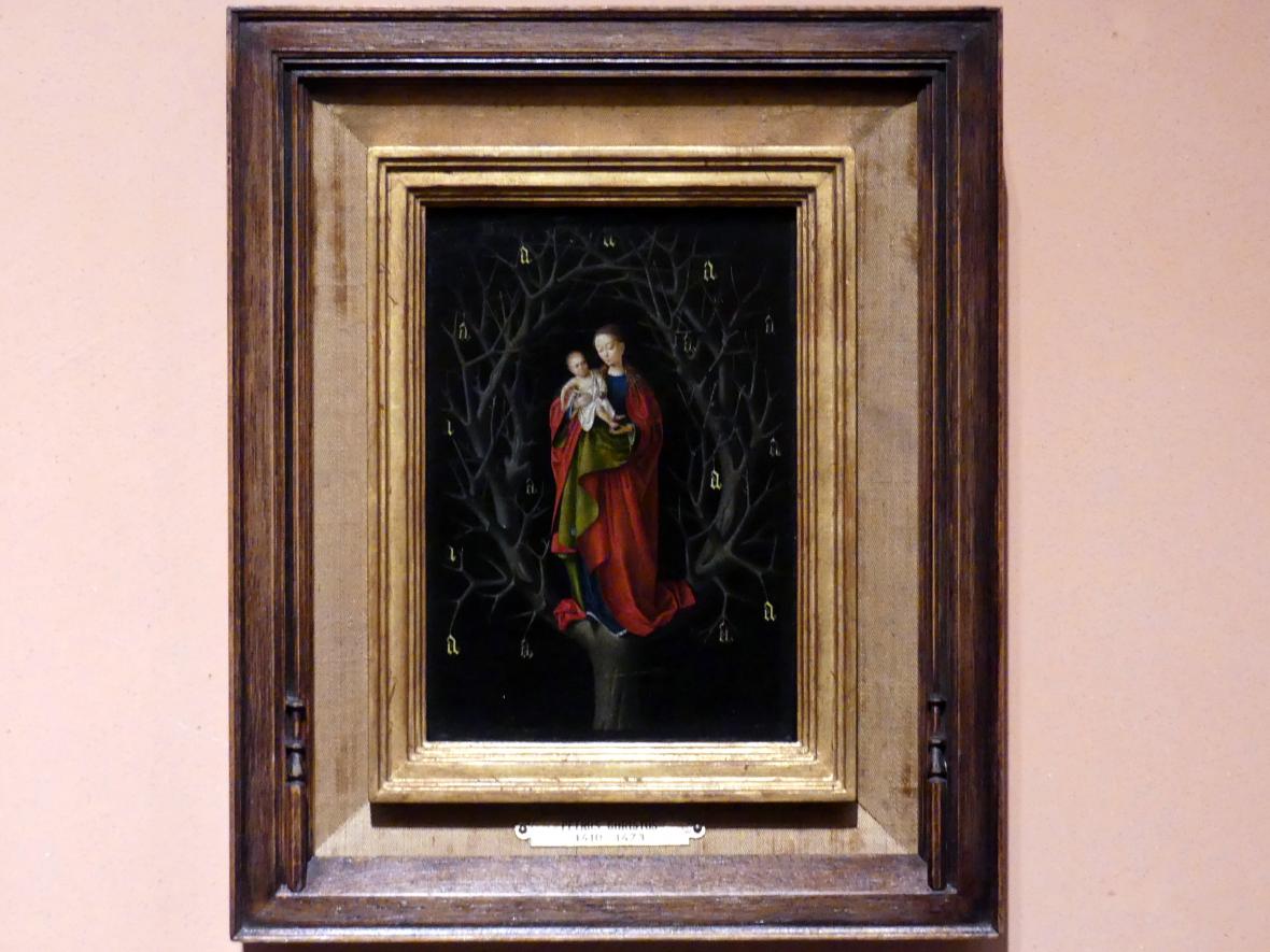 Petrus Christus (1446&ndash;1470), Madonna vom trockenen Baum, Madrid, Museo Thyssen-Bornemisza, Saal 3, niederländische Malerei, um 1465