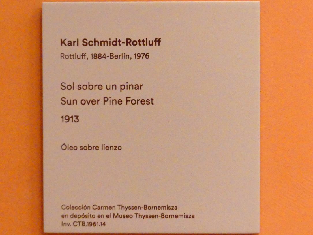Karl Schmidt-Rottluff (1907&ndash;1937), Sonne über dem Pinienwald, Madrid, Museo Thyssen-Bornemisza, Saal N, europäische Malerei der ersten Hälfte des 20. Jahrhundert, 1913, Bild 2/2