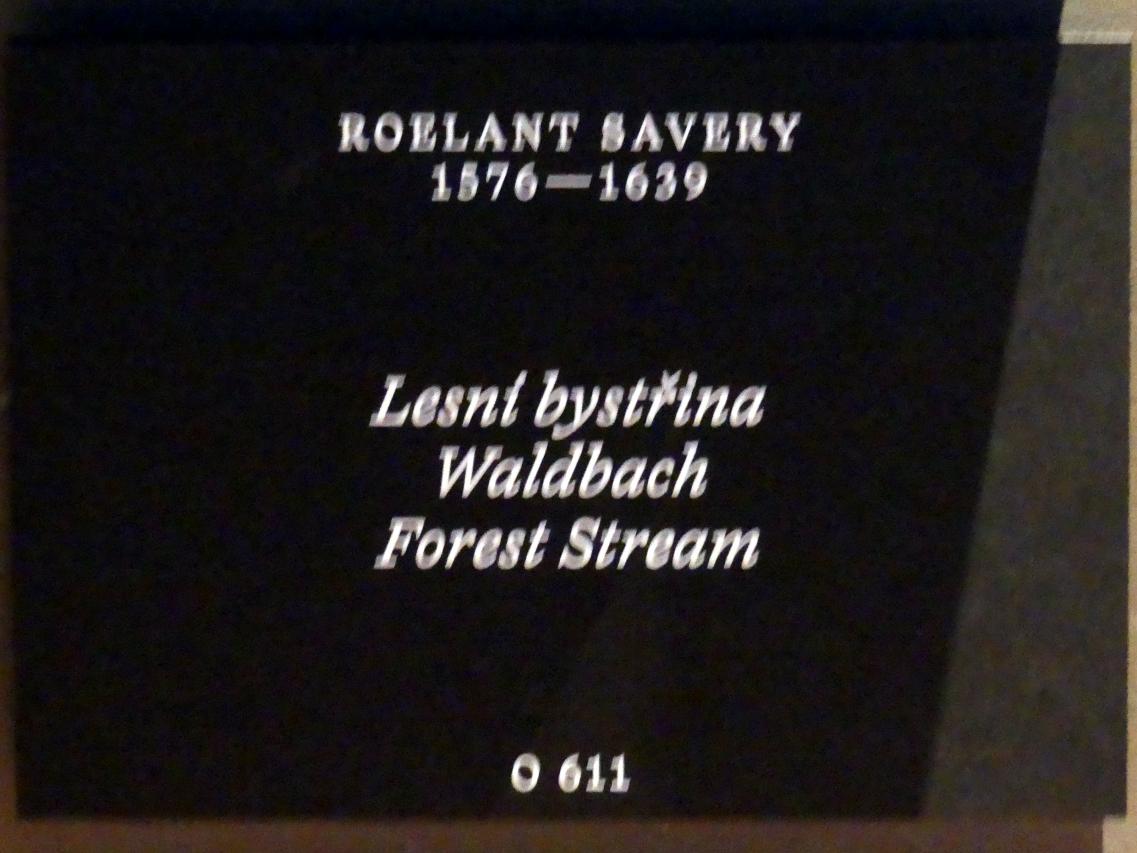 Roelant Savery (1602&ndash;1634), Waldbach, Prag, Nationalgalerie im Palais Schwarzenberg, 2. Obergeschoss, Saal 6, Undatiert, Bild 2/2