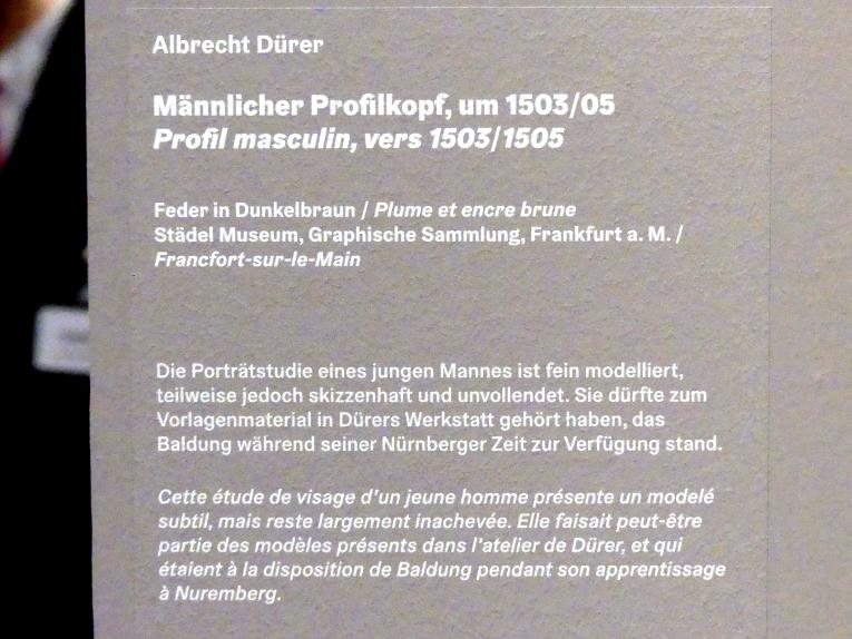 Albrecht Dürer (1490&ndash;1526), Männlicher Profilkopf, Karlsruhe, Staatliche Kunsthalle, Ausstellung "Hans Baldung Grien, heilig | unheilig", Saal 1, um 1503&ndash;1505, Bild 3/3