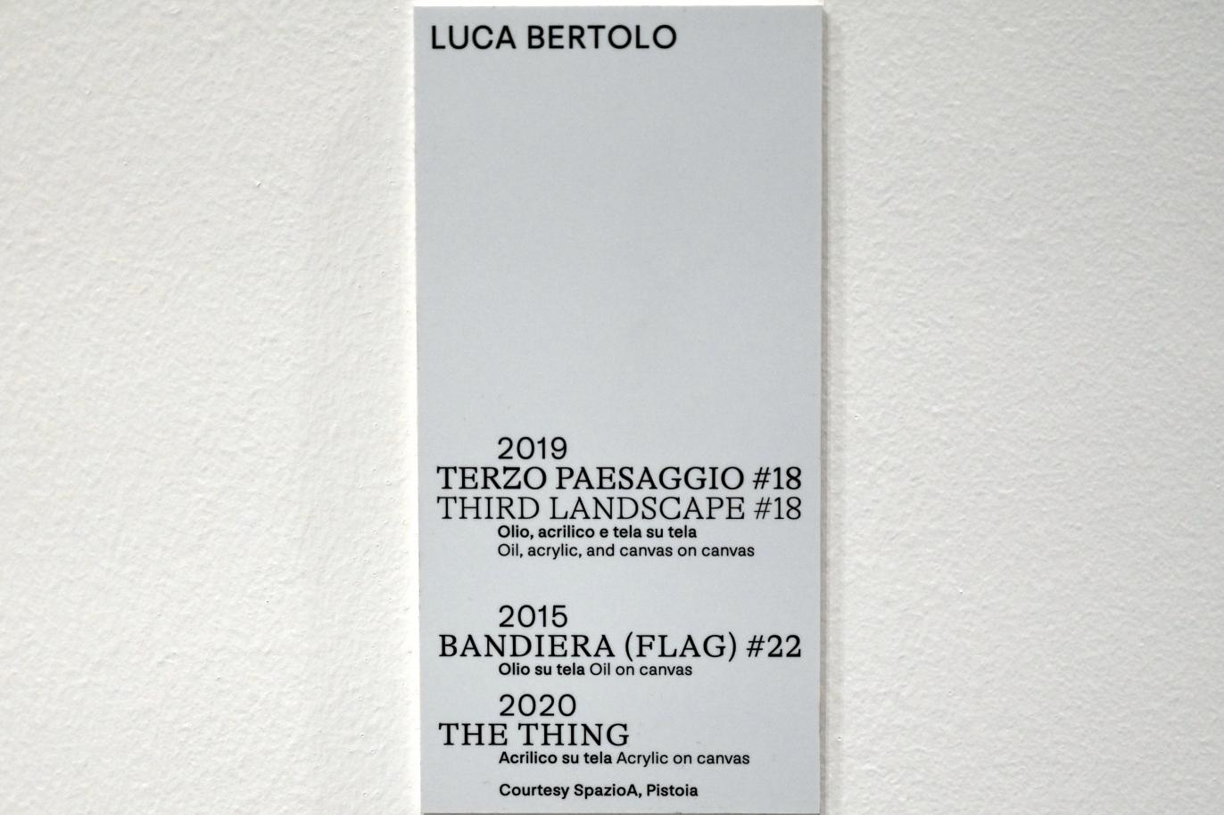 Luca Bertolo (2015&ndash;2020), Dritte Landschaft Nr. 18, Turin, Galleria civica d'arte moderna e contemporanea (GAM Torino), Untergeschoß 1, 2019, Bild 2/2