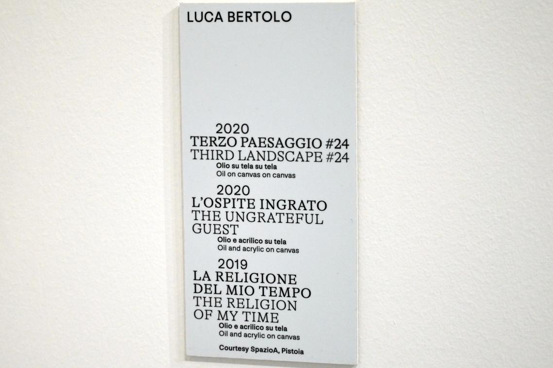 Luca Bertolo (2015&ndash;2020), Die Religion meiner Zeit, Turin, Galleria civica d'arte moderna e contemporanea (GAM Torino), Untergeschoß 1, 2019, Bild 2/2