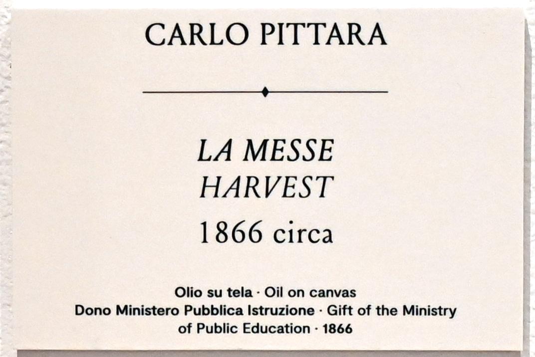 Carlo Pittara (1866), Ernte, Turin, GAM Torino, Ausstellung "Natur und Wahrheit" vom 09.07.-17.10.2021, um 1866, Bild 2/3