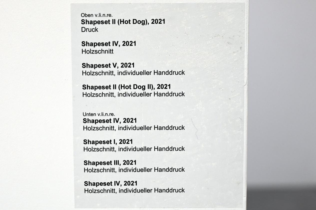 Verena Issel (2021&ndash;2022), Shapeset I, Neumarkt in der Oberpfalz, Museum Lothar Fischer, Ausstellung "VERENA ISSEL" vom 26.06.-09.10.2022, Raum 2, 2021, Bild 2/2