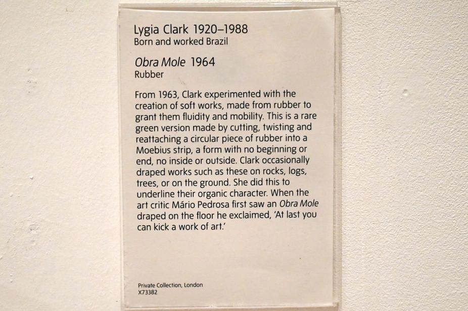 Lygia Clark (1957&ndash;1966), Obra Mole, London, Tate Gallery of Modern Art (Tate Modern), Artist and Society 2, 1964, Bild 3/3