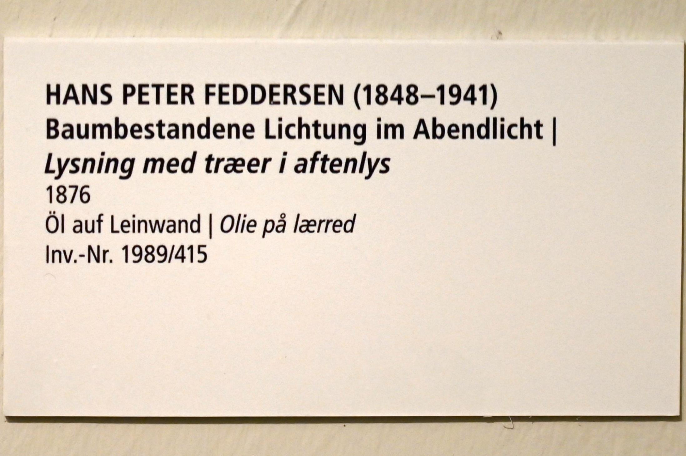 Hans Peter Feddersen (1872&ndash;1929), Baumbestandene Lichtung im Abendlicht, Schleswig, Landesmuseum für Kunst und Kulturgeschichte, Saal 45, 1876, Bild 2/2